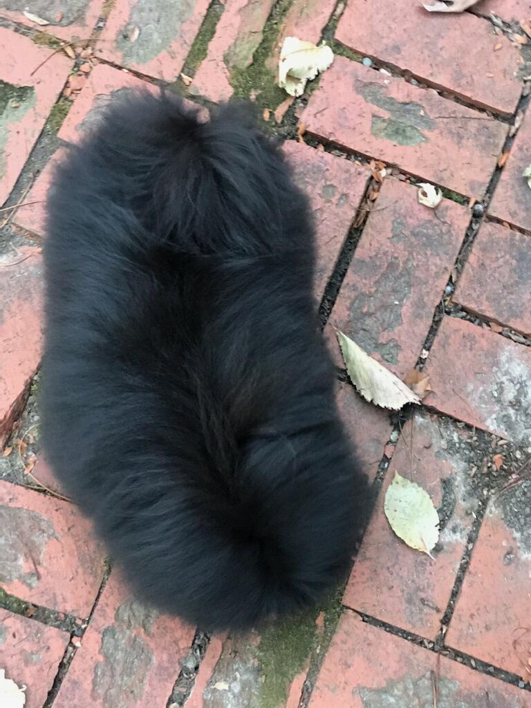 Duke3