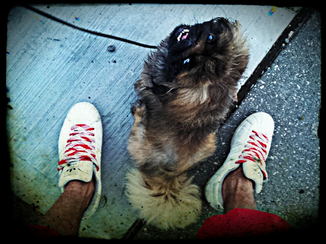 Hi-there
